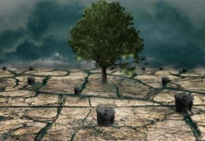 [Aggregator] Downloaded image for imported item #89465