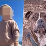 [Aggregator] Downloaded image for imported item #71246