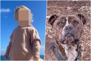 [Aggregator] Downloaded image for imported item #71246