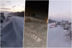 [Aggregator] Downloaded image for imported item #87769