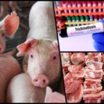 [Aggregator] Downloaded image for imported item #108417