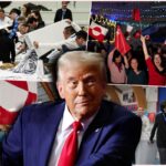 [Aggregator] Downloaded image for imported item #114242