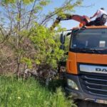 [Aggregator] Downloaded image for imported item #96301