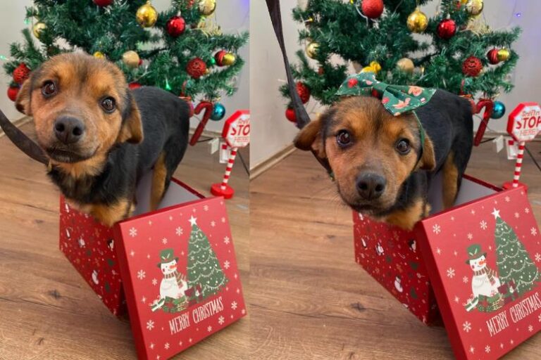 [Aggregator] Downloaded image for imported item #76366