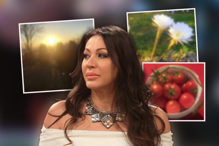 [Aggregator] Downloaded image for imported item #73935