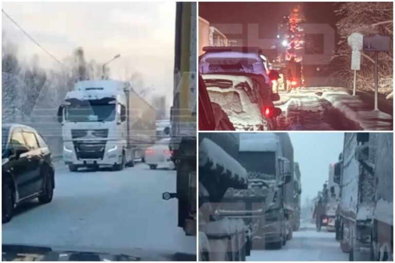 [Aggregator] Downloaded image for imported item #53447