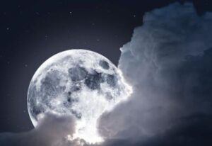 [Aggregator] Downloaded image for imported item #62393