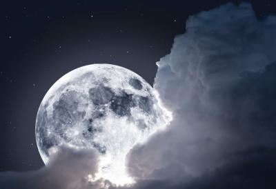 [Aggregator] Downloaded image for imported item #62393