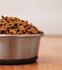 [Aggregator] Downloaded image for imported item #89681