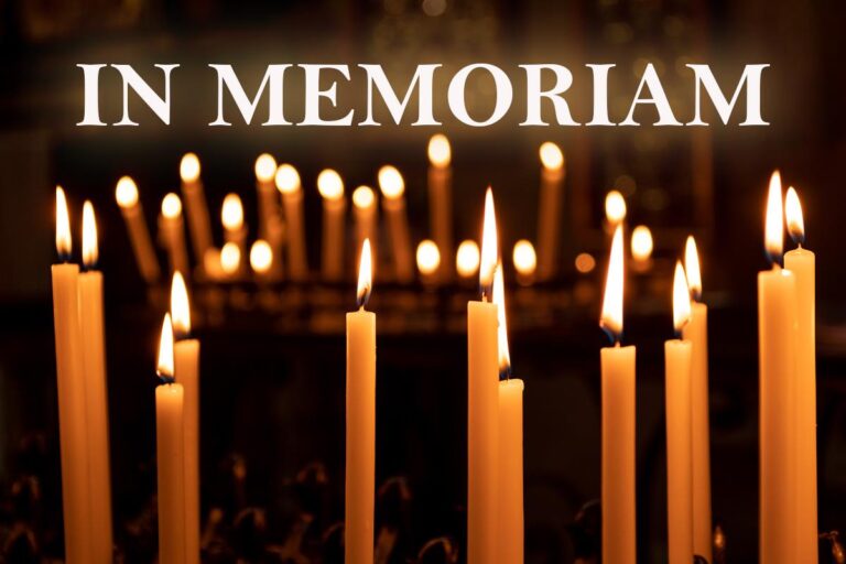 [Aggregator] Downloaded image for imported item #105295