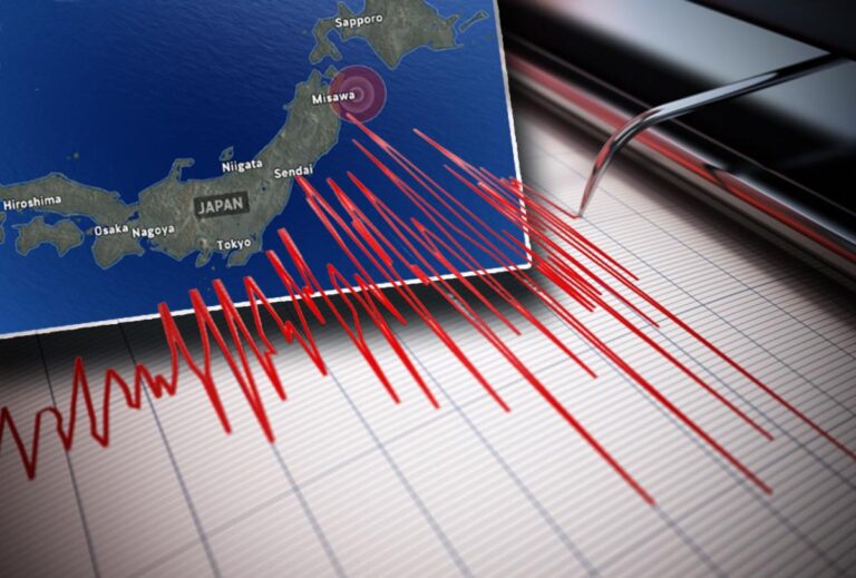 [Aggregator] Downloaded image for imported item #76305