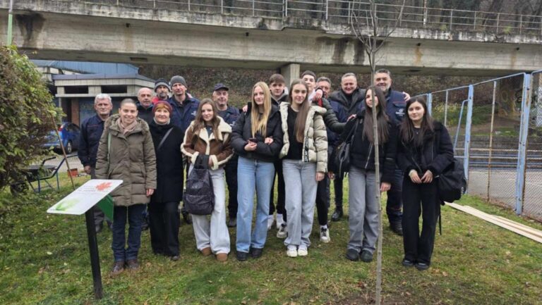 [Aggregator] Downloaded image for imported item #76395