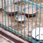 [Aggregator] Downloaded image for imported item #78249