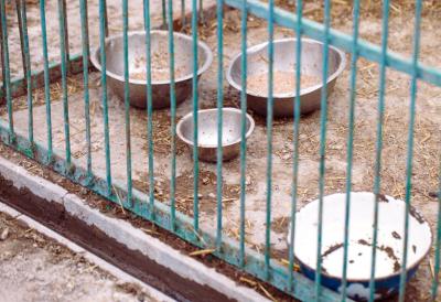 [Aggregator] Downloaded image for imported item #78256