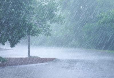 [Aggregator] Downloaded image for imported item #91258