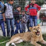 [Aggregator] Downloaded image for imported item #53049