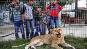 [Aggregator] Downloaded image for imported item #53049