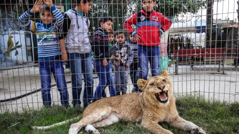 [Aggregator] Downloaded image for imported item #53049