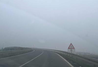 [Aggregator] Downloaded image for imported item #72239