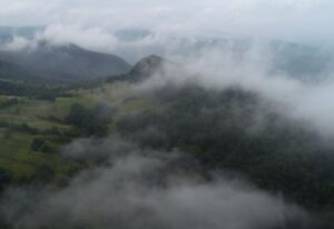 [Aggregator] Downloaded image for imported item #102446