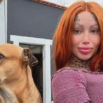 [Aggregator] Downloaded image for imported item #80420