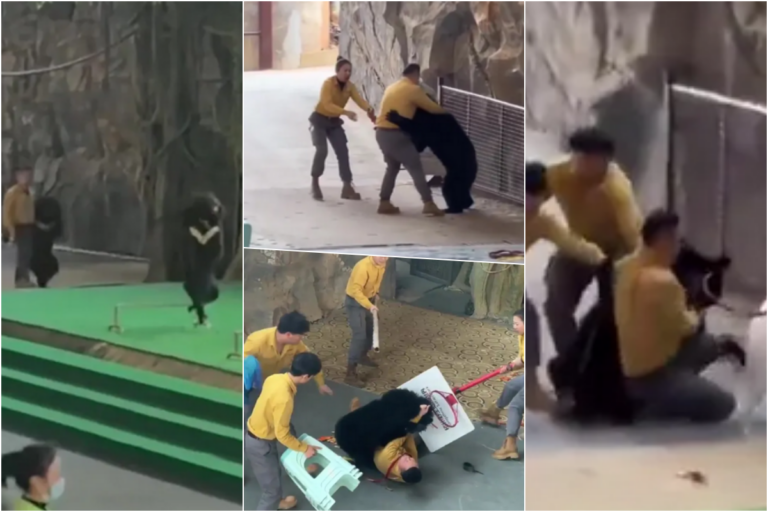 [Aggregator] Downloaded image for imported item #70158