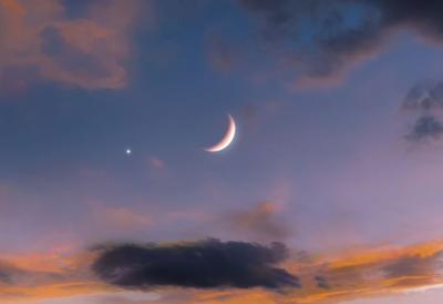 [Aggregator] Downloaded image for imported item #75805