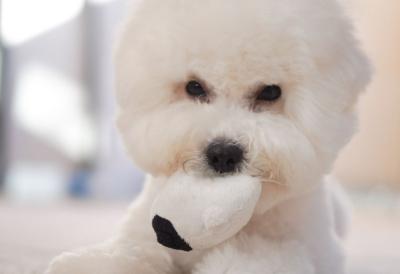 [Aggregator] Downloaded image for imported item #75706