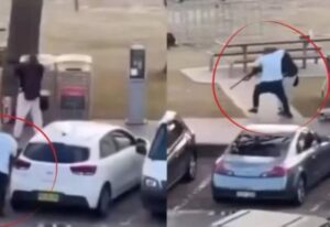 [Aggregator] Downloaded image for imported item #87357