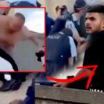 [Aggregator] Downloaded image for imported item #88231