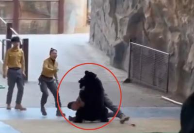 [Aggregator] Downloaded image for imported item #70432