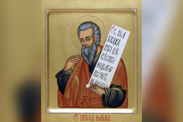 [Aggregator] Downloaded image for imported item #85486