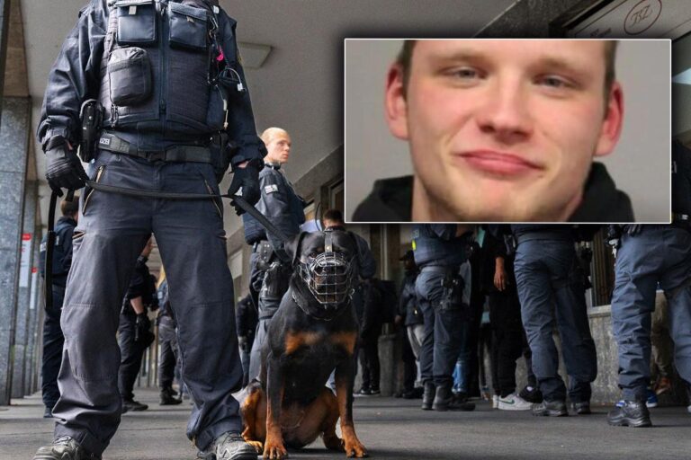 [Aggregator] Downloaded image for imported item #82750