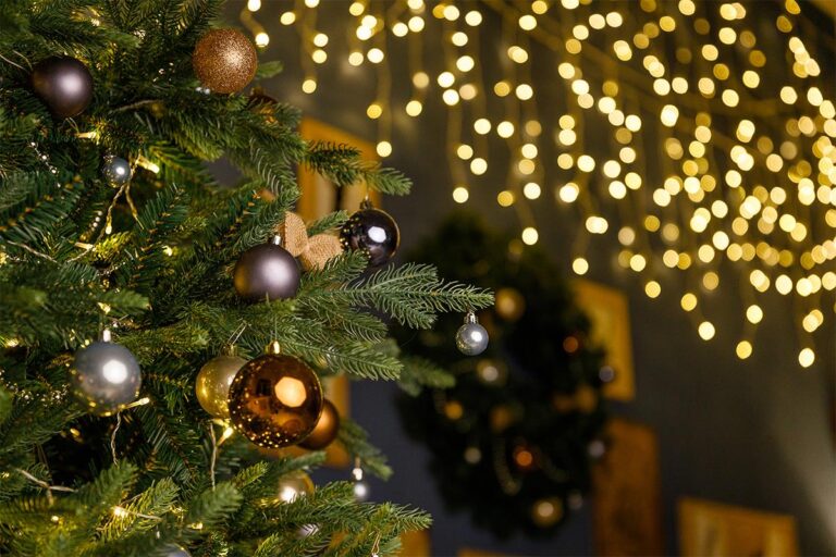 [Aggregator] Downloaded image for imported item #90260