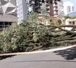 [Aggregator] Downloaded image for imported item #76775