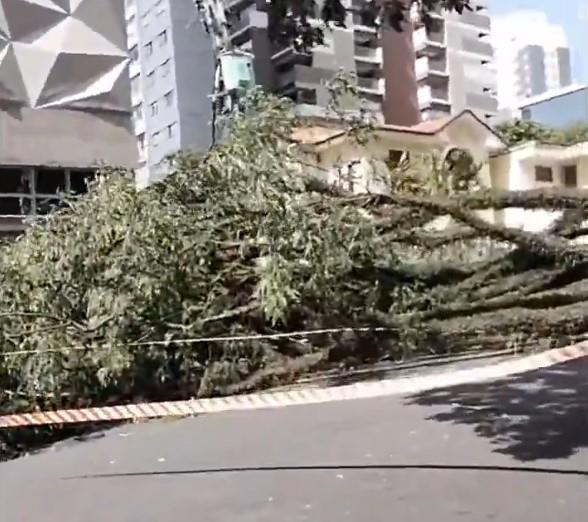 [Aggregator] Downloaded image for imported item #76775