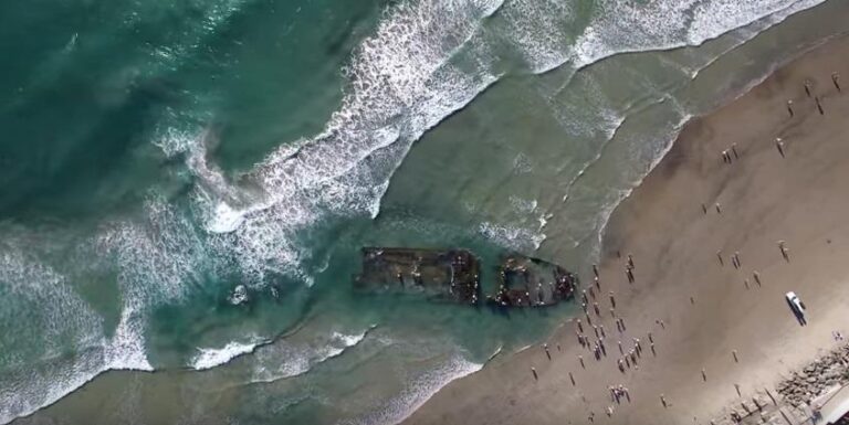 [Aggregator] Downloaded image for imported item #72147