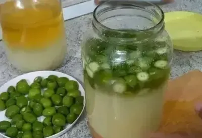 [Aggregator] Downloaded image for imported item #65962