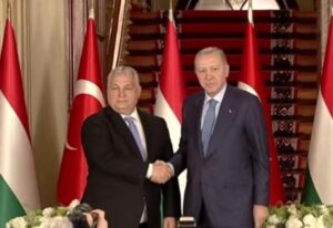 [Aggregator] Downloaded image for imported item #71624