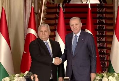 [Aggregator] Downloaded image for imported item #71624