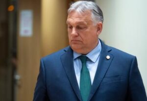 [Aggregator] Downloaded image for imported item #75785