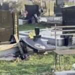 [Aggregator] Downloaded image for imported item #85625