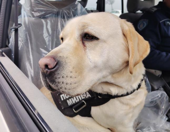 [Aggregator] Downloaded image for imported item #74426