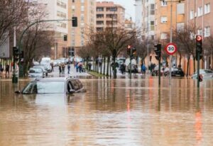 [Aggregator] Downloaded image for imported item #90034