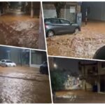 [Aggregator] Downloaded image for imported item #63151