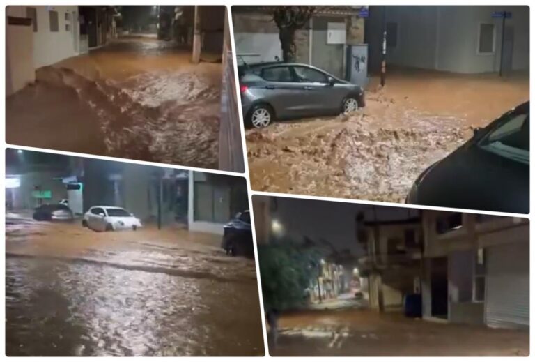 [Aggregator] Downloaded image for imported item #63151