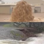 [Aggregator] Downloaded image for imported item #112559