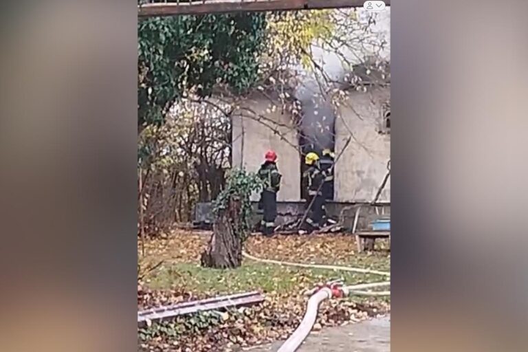 [Aggregator] Downloaded image for imported item #70162