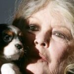 [Aggregator] Downloaded image for imported item #121790