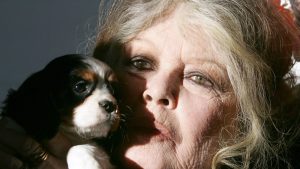 [Aggregator] Downloaded image for imported item #121790